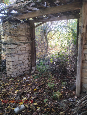 ������� ���� | Imot.bg � ����� ������ 7