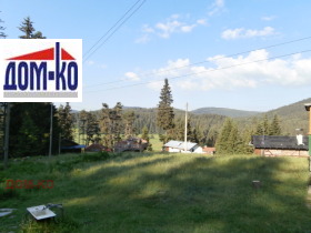 ������ ������� ����