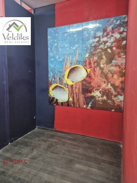 ����� ������� �������,���� �����, ���� �-5