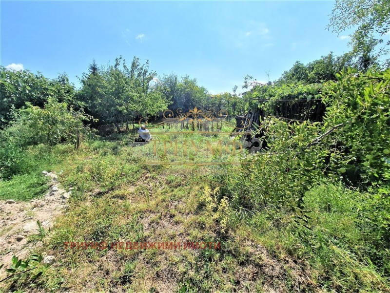 Продаја  Кућа регион Варна , Бенковски , 58 м2 | 39983666 - слика [7]