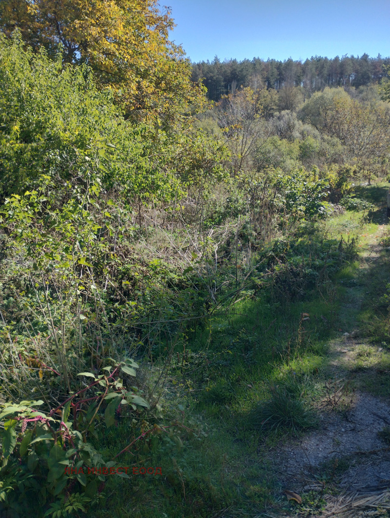 Продава КЪЩА, с. Орловец, област Велико Търново, снимка 8 - Къщи - 52326611