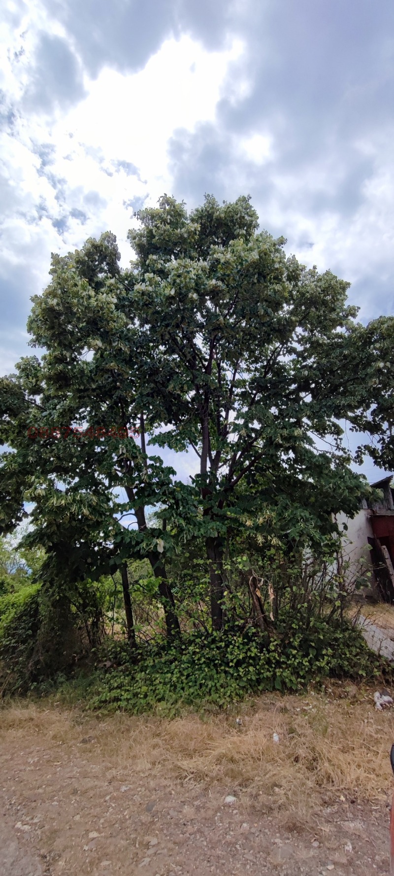 Продава ПАРЦЕЛ, гр. Кърджали, Възрожденци, снимка 5 - Парцели - 53286369