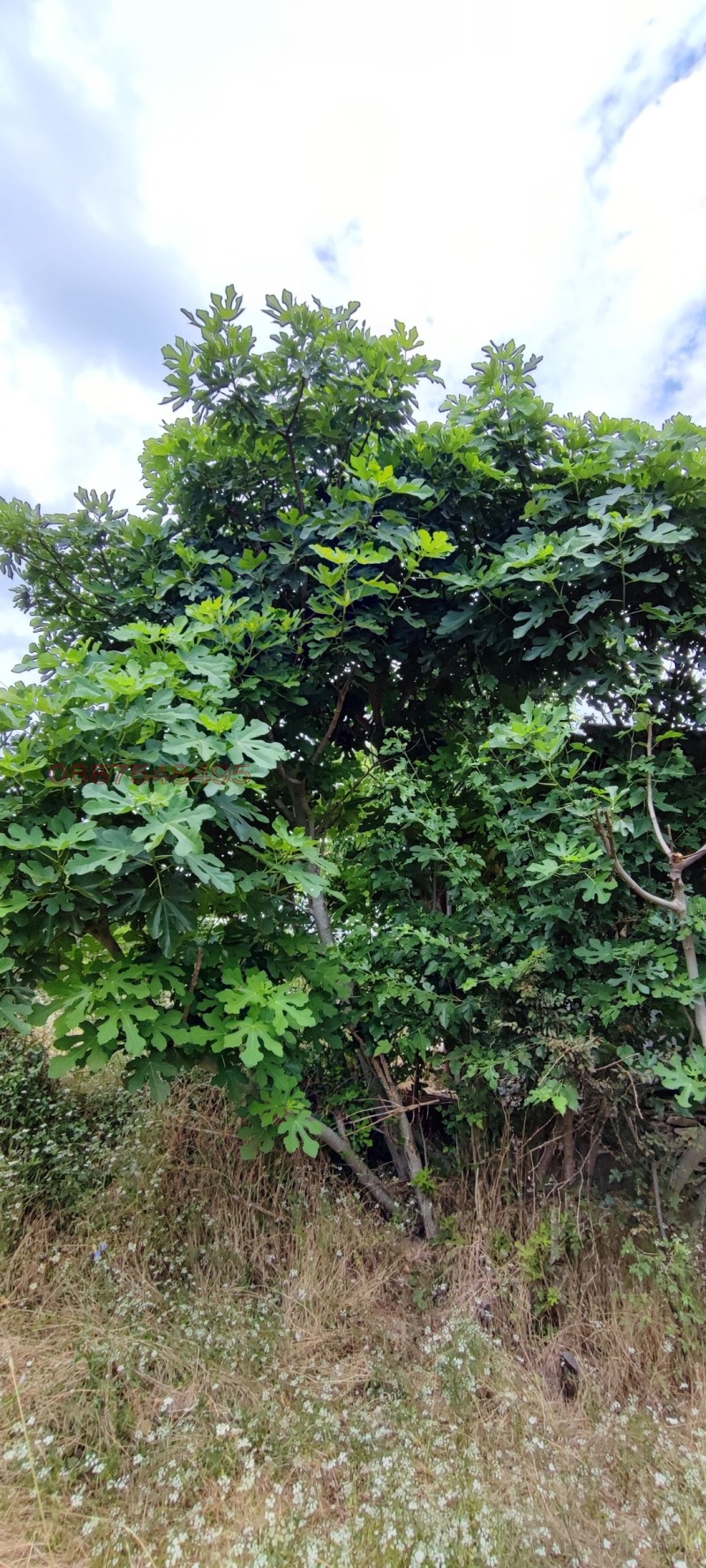 Продава ПАРЦЕЛ, гр. Кърджали, Възрожденци, снимка 7 - Парцели - 53286369