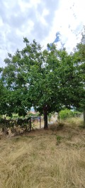 Продава ПАРЦЕЛ, гр. Кърджали, Възрожденци, снимка 8