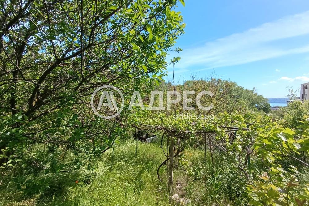 ������� ������ | Imot.bg � ����������� 13