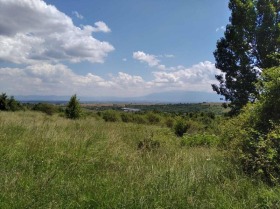 Плот Созопол, регион Бургас