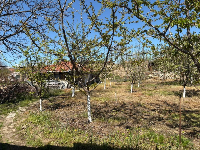 Na prodej  Dům oblast Haškovská , Knižovnik , 90 m2 | 87688746 - obraz [2]