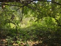 Продава  Къща област Велико Търново , с. Янтра , 60 кв.м | 94770641 - изображение [14]