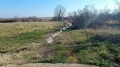 Продава ПАРЦЕЛ, област Бургас, с. Лозенец • 51000 € • 57035442 — Holmes.bg