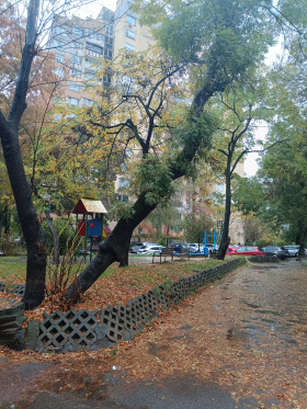 ������� 2-����� | Imot.bg � ����� ������ 17