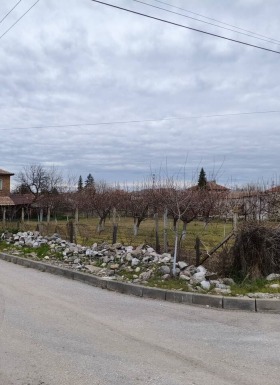 ����� ������� ������,�. ��������, ������ �������