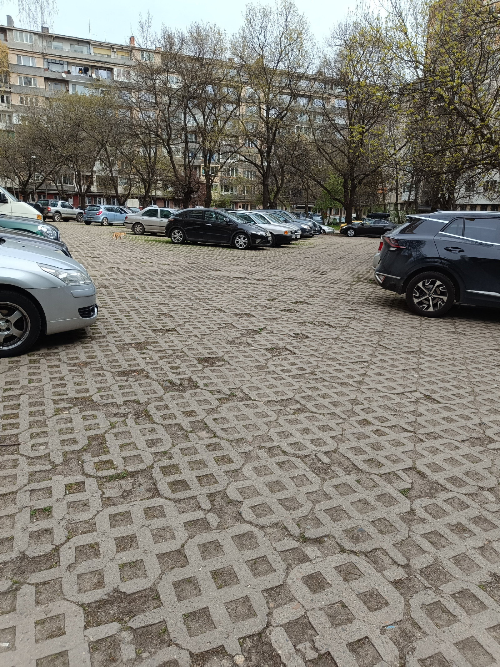 Продава 2-СТАЕН, гр. София, Красна поляна 2, снимка 15 - Апартаменти - 54208104