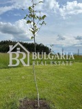 Продава ПАРЦЕЛ, с. Градец, област София област, снимка 1