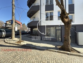 ����� ������� �������,���� �����, ��������