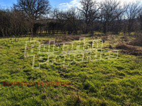 ������� ������ | Imot.bg � ����� ������ 2