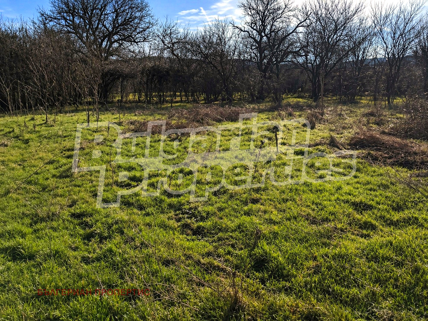 Продава ПАРЦЕЛ, с. Вехтово, област Шумен, снимка 2 - Парцели - 54281608