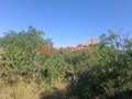 Продава КЪЩА, с. Гургулят, област София област, снимка 6