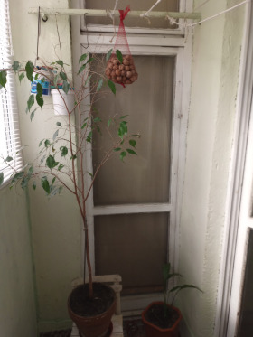 ������� 3-����� | Imot.bg � ����� ������ 8