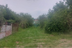 Плот Кранево, регион Добрицх