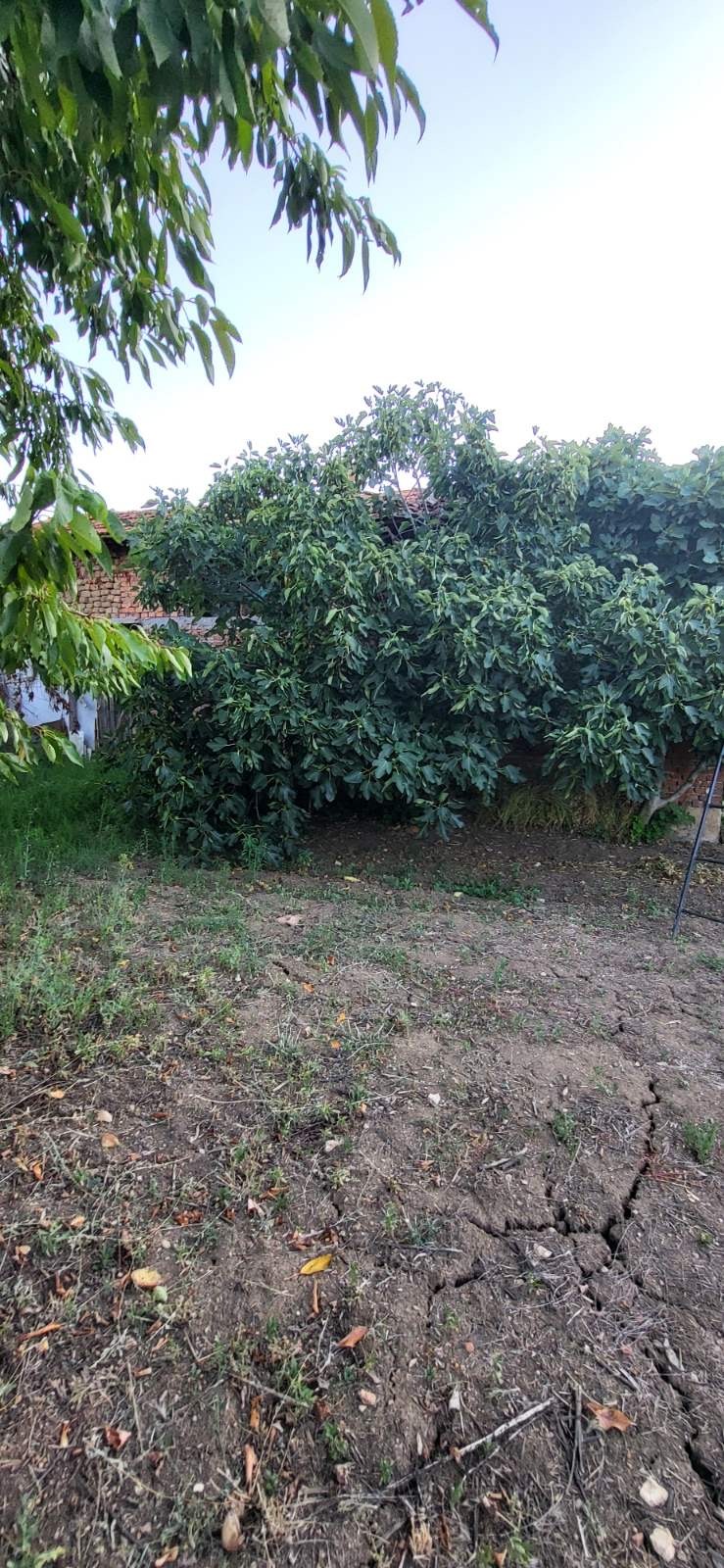 На продаж  Будинок область Благоєвград , Копривлен , 45 кв.м | 69730345 - зображення [6]