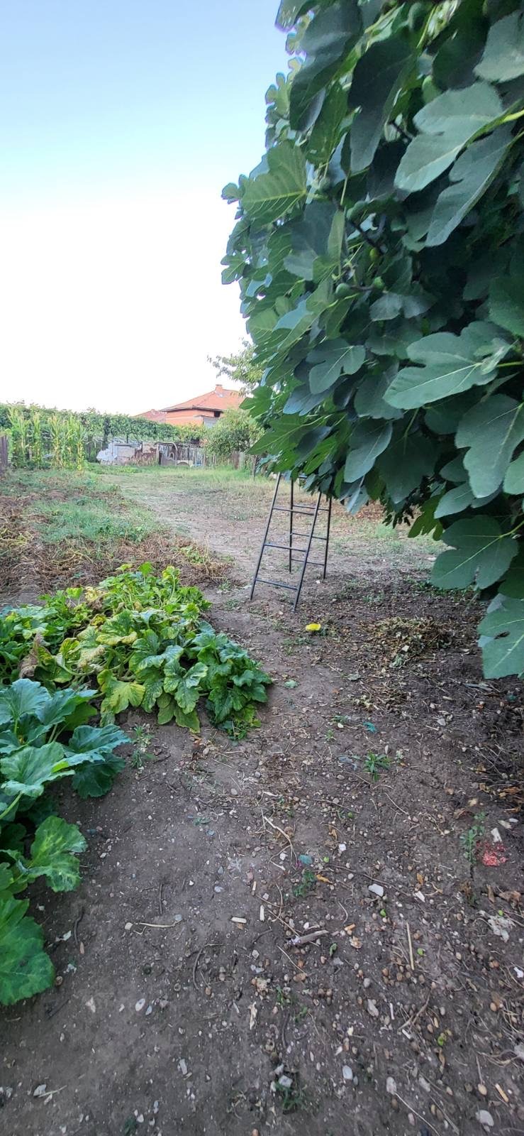 На продаж  Будинок область Благоєвград , Копривлен , 45 кв.м | 69730345 - зображення [8]