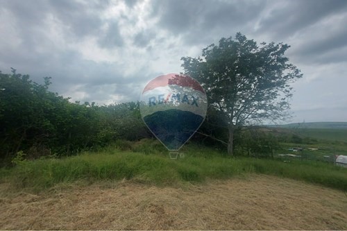 Продаја  Плот регион Добрицх , Кранево , 1024 м2 | 82424255 - слика [6]