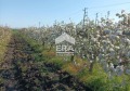 Продава ПАРЦЕЛ, област Бургас, гр. Ахелой • 41500 € / 81166.94 лв. • 43756199 1