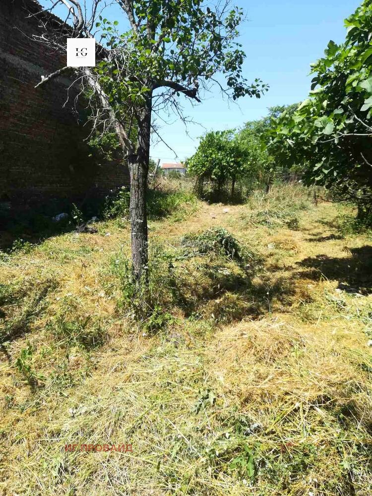 Продава КЪЩА, с. Дебелт, област Бургас, снимка 2 - Къщи - 52304057