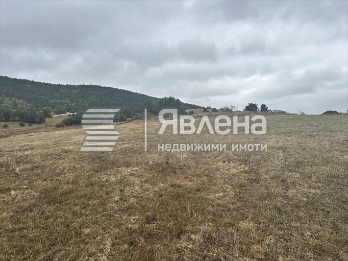 Продава ПАРЦЕЛ, яз. Батак, област Пазарджик, снимка 2 - Парцели - 54296649