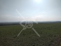 Продава ПАРЦЕЛ, област Бургас, с. Кошарица • 97830 € / 191338.85 лв. • 15822272 1