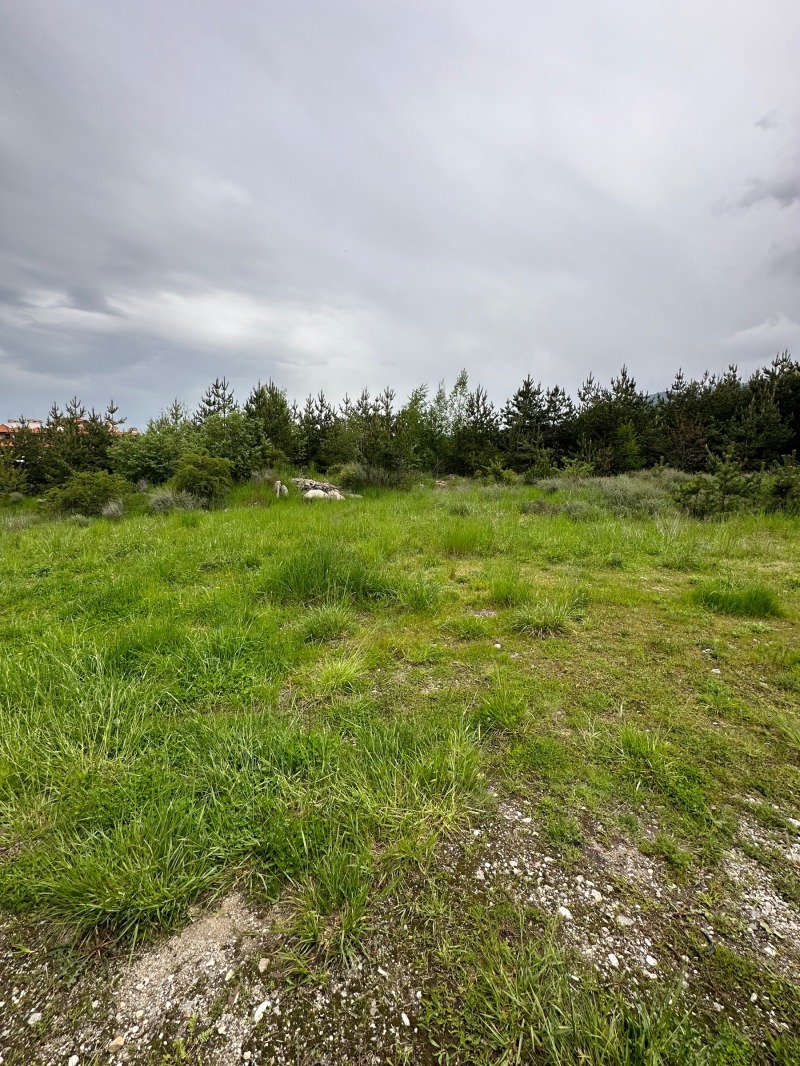 Продава ПАРЦЕЛ в област Благоевград, гр. Банско - 4339 кв.м / 607 700 € » 1 188 557.89 лв., ЕМДИ БИЛД ООД
