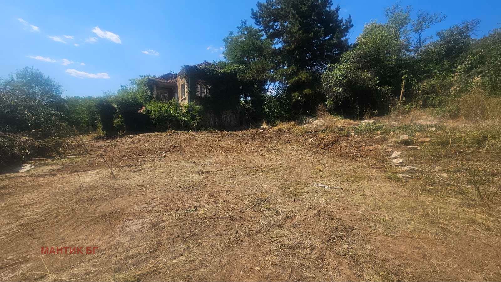 Продава ПАРЦЕЛ, с. Могилово, област Стара Загора, снимка 4 - Парцели - 55633629