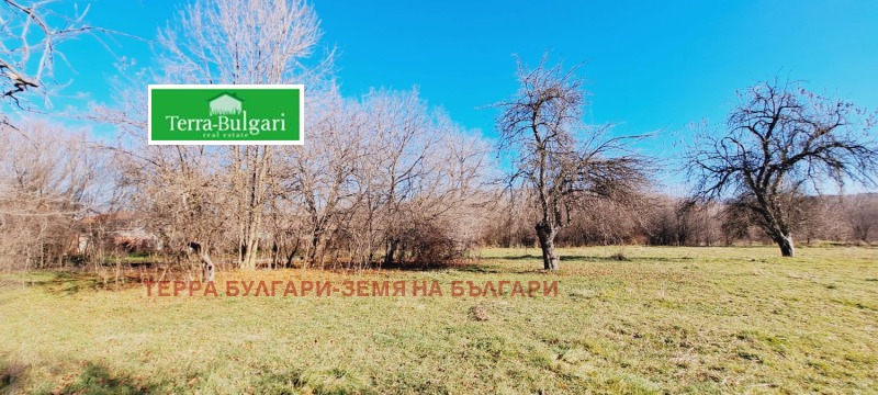 Продава ПАРЦЕЛ в град Перник, Църква - 4600 кв.м / 276 240 € » 540 278.48 лв., ТЕРРА БУЛГАРИ-ЗЕМЯ НА БЪЛГАРИ