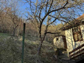 Dům Vlado Tričkov, oblast Sofia