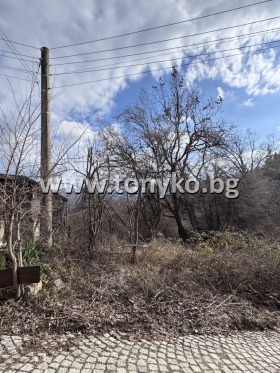 Plot Hrabrino, region Plovdiv 3