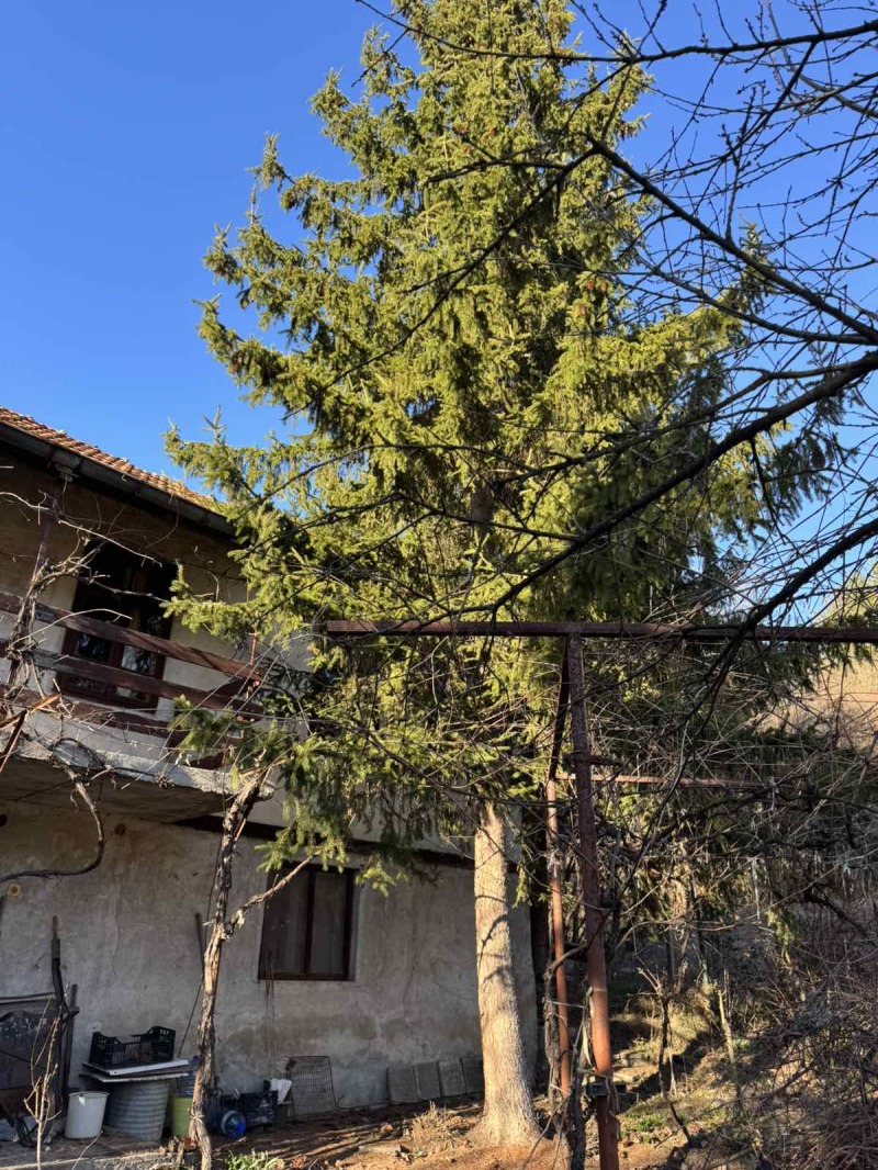 À vendre  Maison région Sofia , Vlado Tritchkov , 80 m² | 48591652 - image [5]