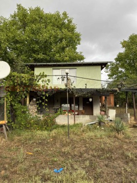 ������ ������� ����