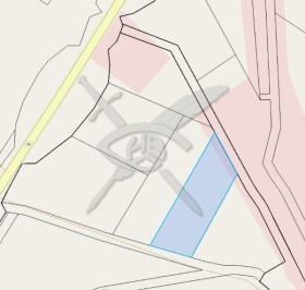 ����� ������� ������,���� ������, ����� ������ - ���� �