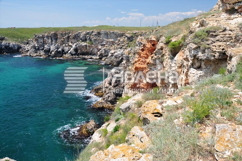 For Sale  Plot region Dobrich , Tyulenovo , 6000 sq.m | 45694188 - image [2]