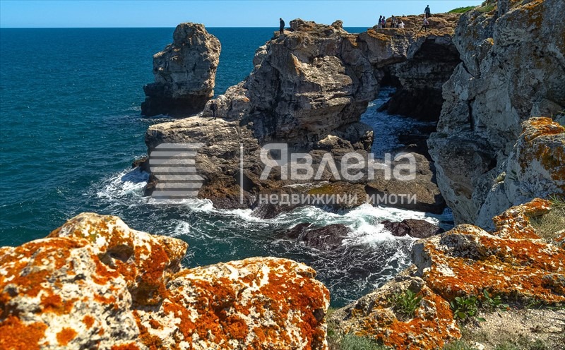 For Sale  Plot region Dobrich , Tyulenovo , 6000 sq.m | 45694188 - image [4]