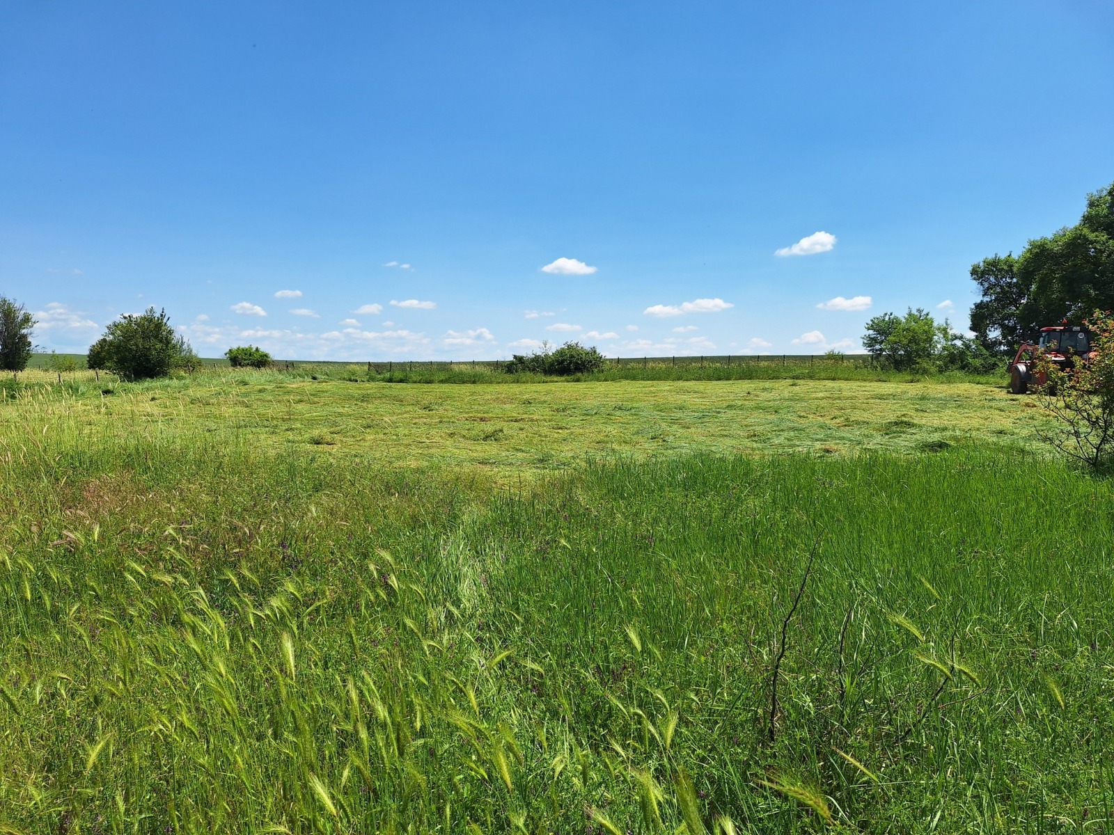 Продава ПАРЦЕЛ, гр. Болярово, област Ямбол, снимка 17 - Парцели - 56098764