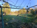 Продава ПАРЦЕЛ, гр. Русе, област Русе, снимка 4