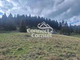 Plot Momchilovtsi, region Smolyan 3