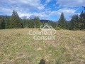 Продава ПАРЦЕЛ, с. Момчиловци, област Смолян, снимка 2