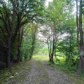 Продава ПАРЦЕЛ, с. Рибарица, област София област, снимка 10