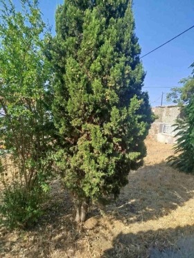 ������� ���� | Imot.bg � ����� ������ 6