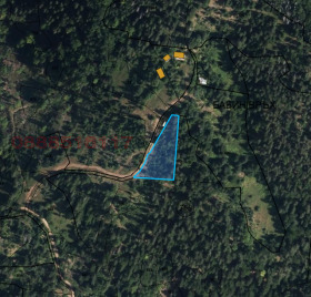 ������ ������� ������