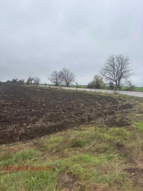 ������ ������� ������