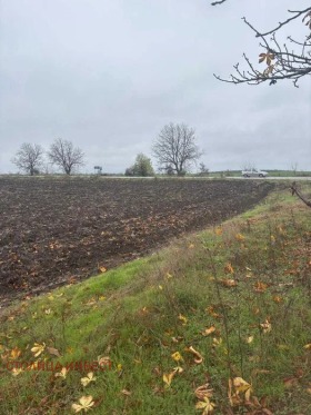 ������� ������ | Imot.bg � ����� ������ 5