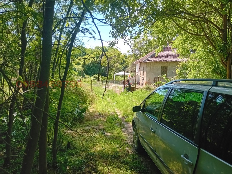 Продава КЪЩА, с. Долно Линево, област Монтана